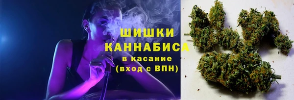 дживик Коряжма