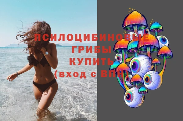 ГАЛЛЮЦИНОГЕННЫЕ ГРИБЫ Корсаков