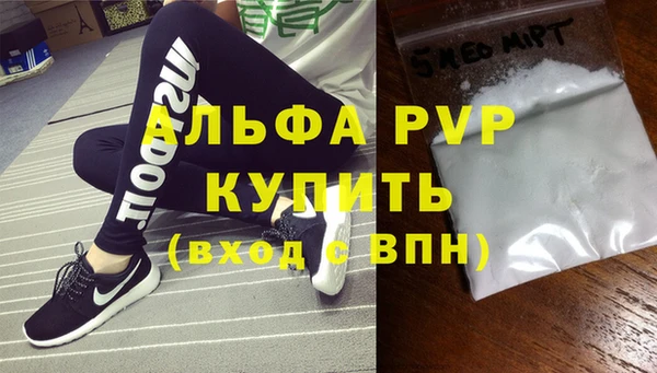 ГАЛЛЮЦИНОГЕННЫЕ ГРИБЫ Корсаков