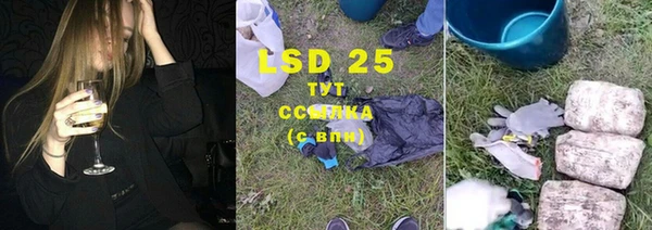 ГАЛЛЮЦИНОГЕННЫЕ ГРИБЫ Корсаков