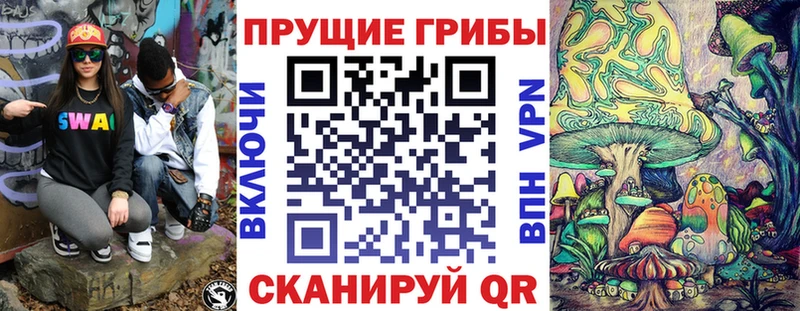 Купить  Барабинск  Псилоцибиновые грибы Psilocybine cubensis 